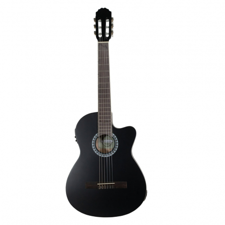 Gewa Classical Guitar PS510396 