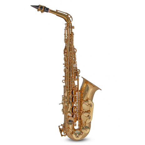 Roy Benson B-ALTO Saxophone AS-302