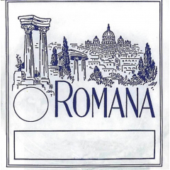 Romana Violin strings D